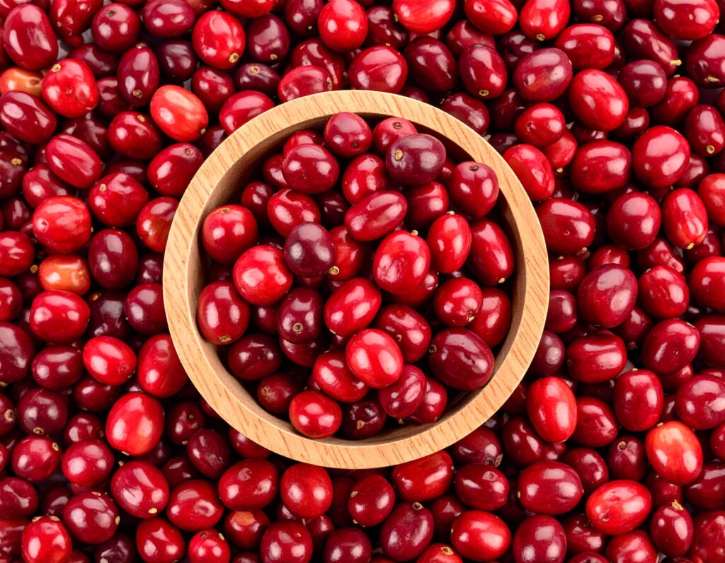 nowy gatunek kawy Coffea stenophylla – czy zastąpi arabikę i robustę?